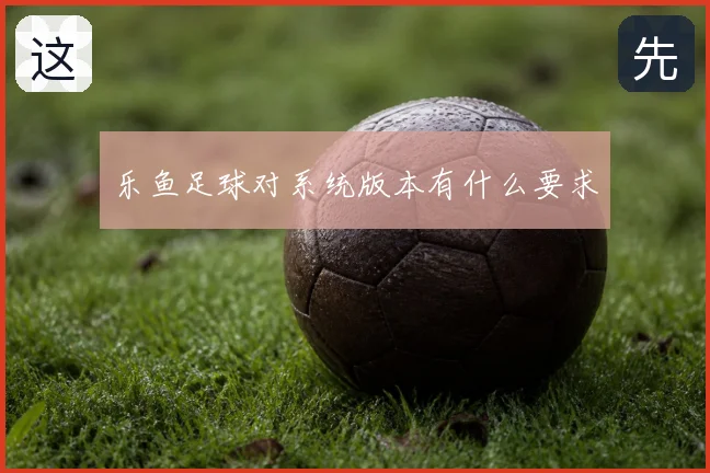 乐鱼足球对系统版本有什么要求